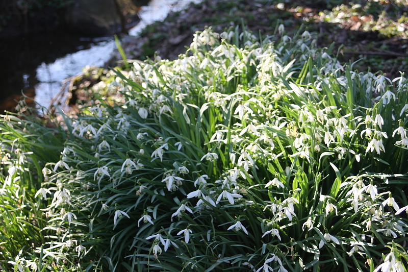 Killikus® Fotographie Killikus® Fotographie